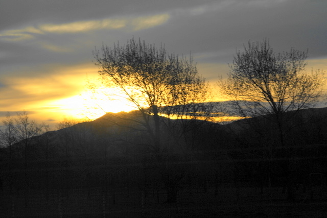 Wairarapa