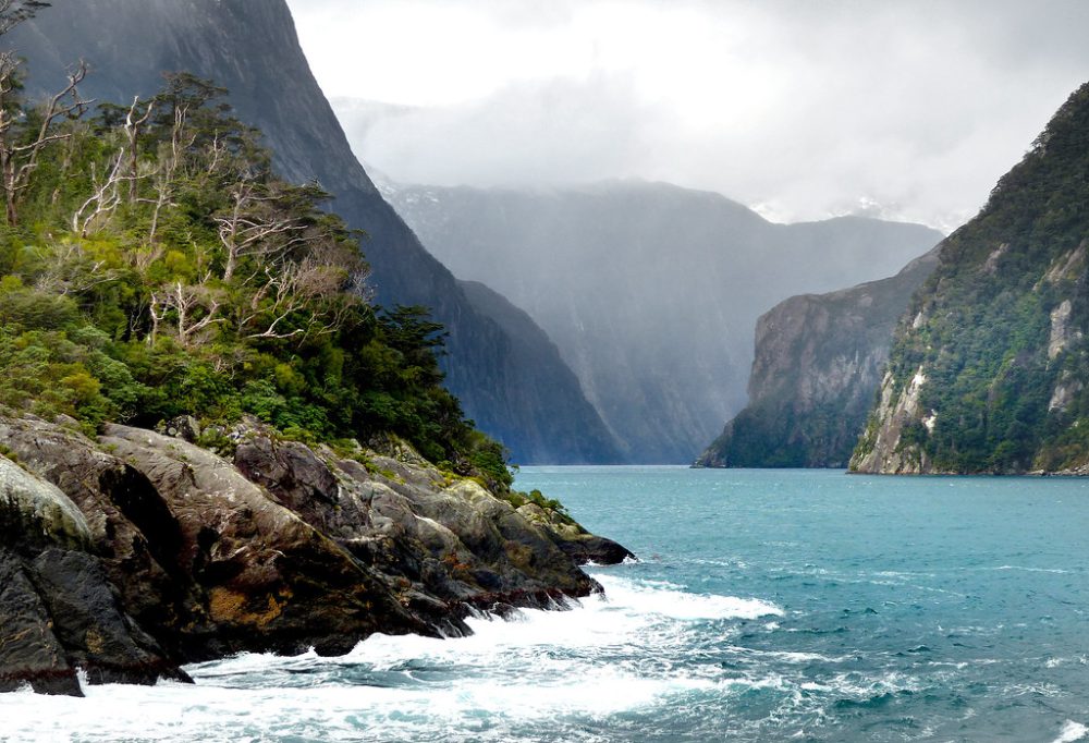 Bronagh – Physiotherapist, Bay of Plenty