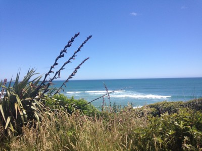 Stan – GP, Palmerston North