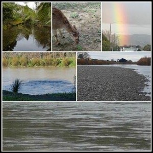 Caroline – ODP from the UK to Palmerston North