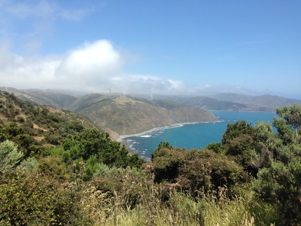 Kevin – Registered Nurse, Wellington