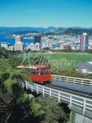 Rebecca – Registered Nurse, Wellington