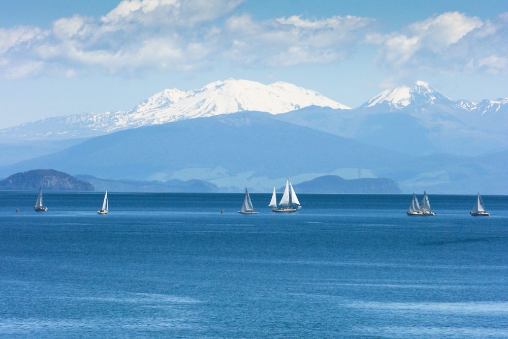 Karen – Occupational Therapist, Auckland