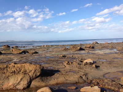 Andrea – Mental Health Nurse –  Auckland