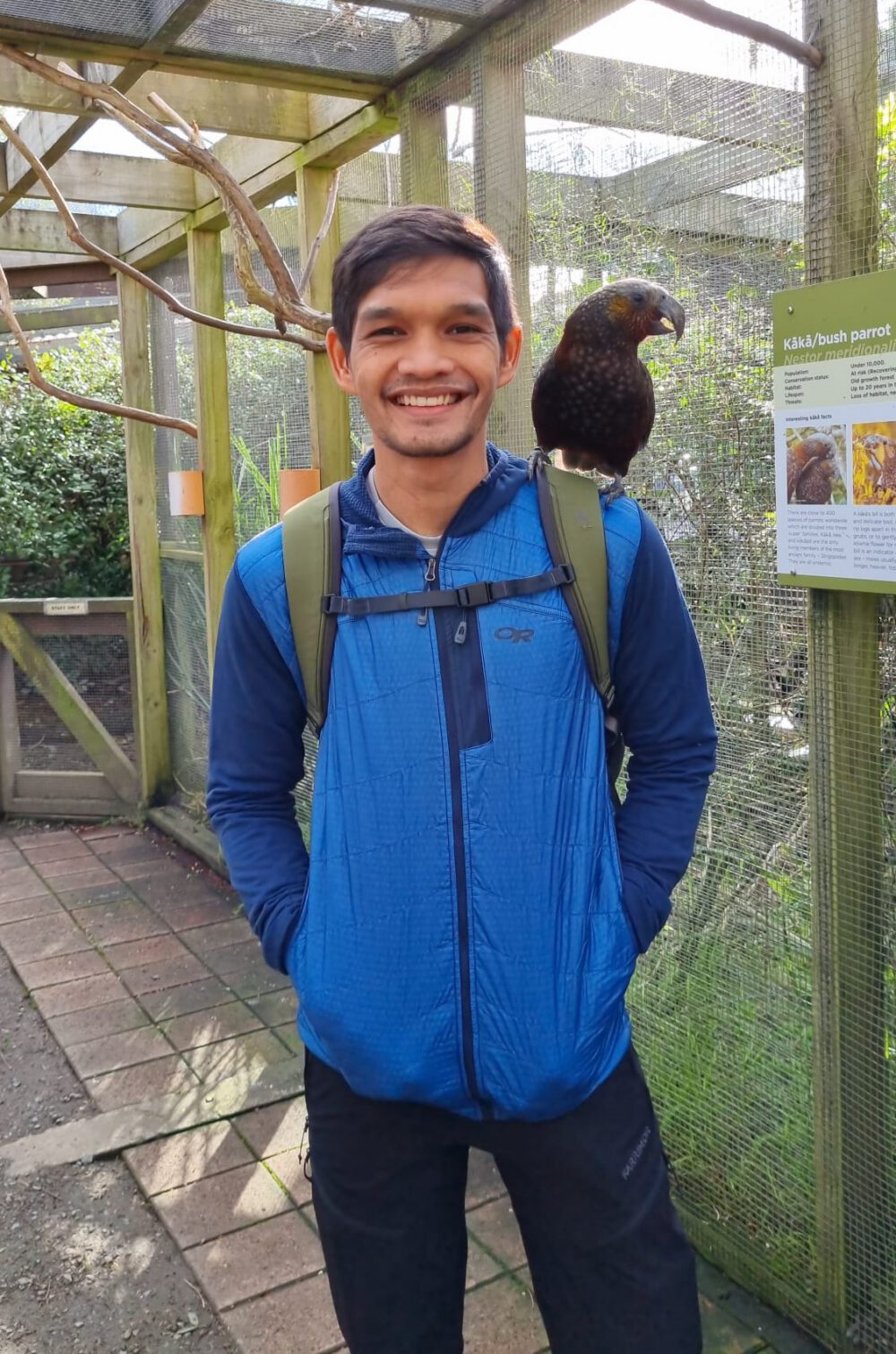Haris, GP — ACCENT Health Recruitment case study