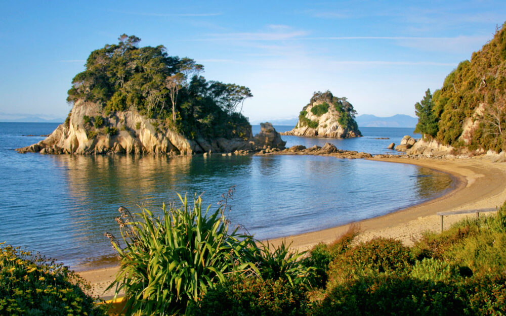 How to become a Nurse in New Zealand as a U.S. RN